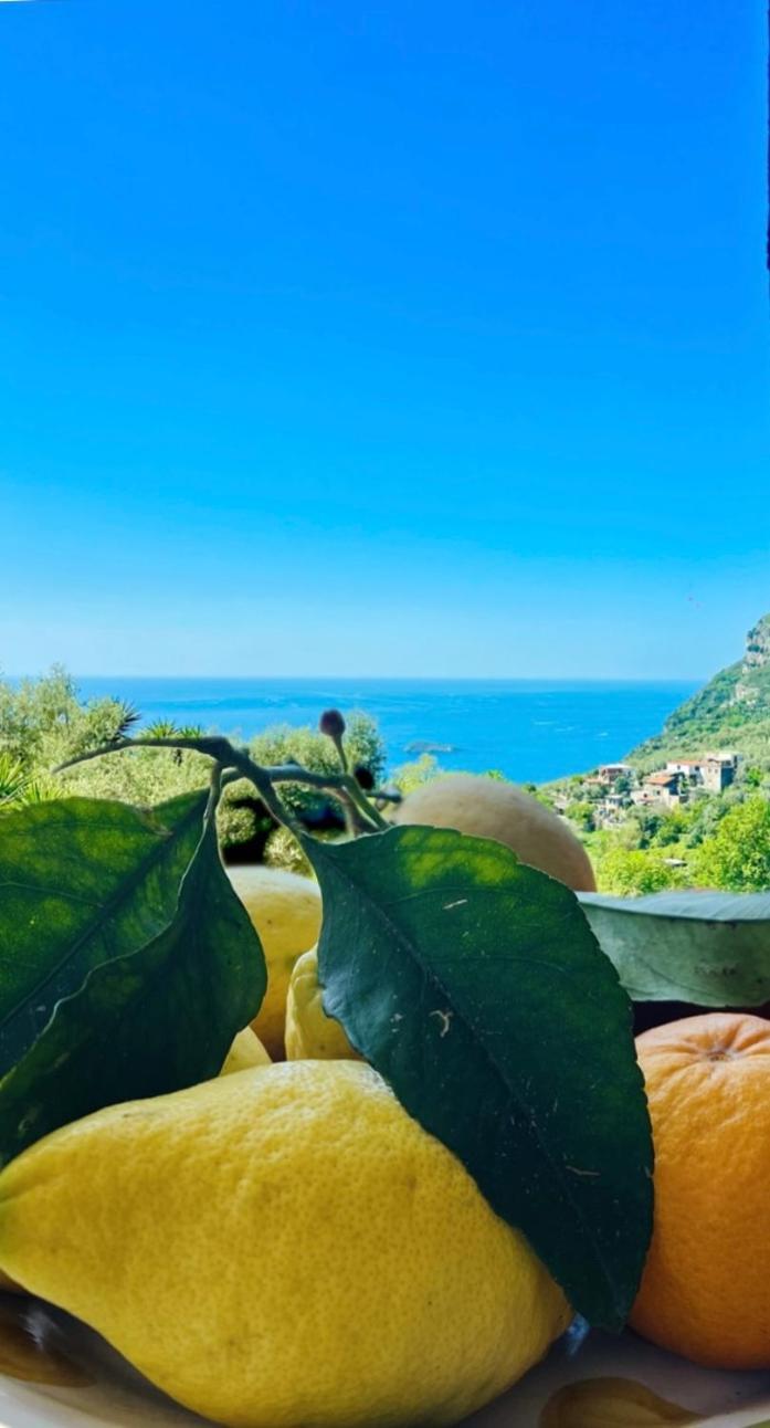 Wanderlust Villa Piano di Sorrento Exterior photo